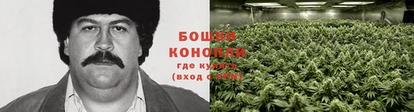 Альфа ПВП Богданович