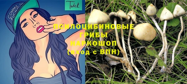 гашиш Богородицк
