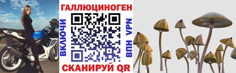 Псилоцибиновые грибы Psilocybine cubensis  Дюртюли 